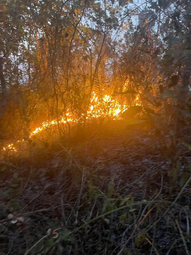 Đề nghị người dân tạm dừng việc đốt nương, đốt thực bì