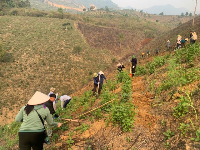 Sau Lễ phát động trồng cây cà phê, mắc ca và thử nghiệm mô hình phát triển kinh tế không gian tầm thấp năm 2026