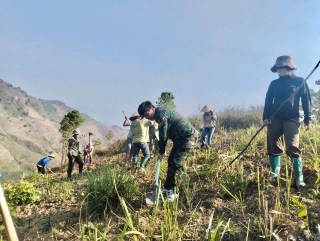 Mường Ảng tiếp tục huy động lực lượng hỗ trợ nhân dân đào hố trồng cà phê, mắc ca năm 2026