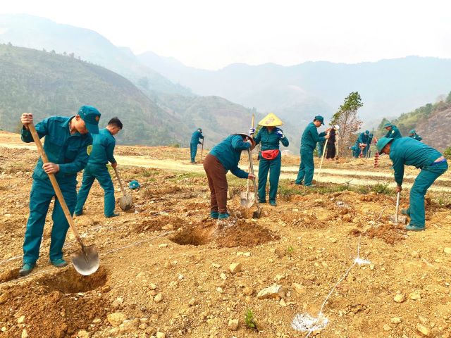 Ban CHQS Xã Mường Ảng tích cực hỗ trợ nhân dân đào hố trồng cà phê, mắc ca, góp phần phát triển kinh tế địa phương