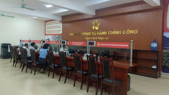 thuy16.jpg