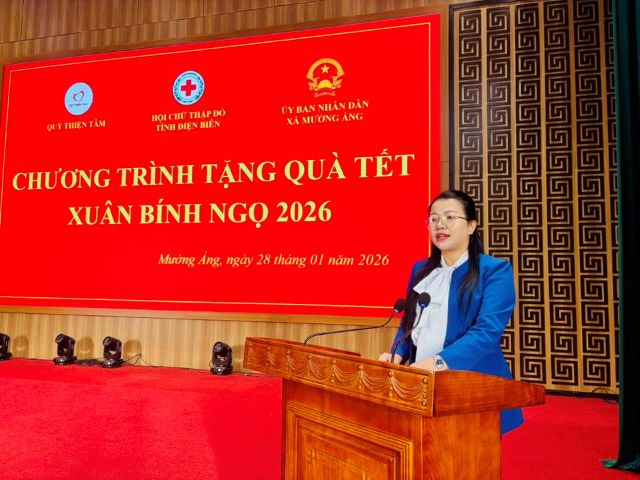 HCTDTDBT300SQT20262.jpg